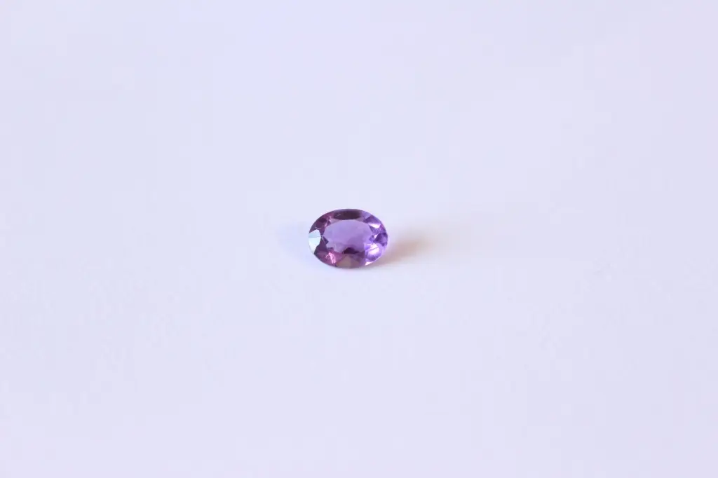 IMG_3722.webp