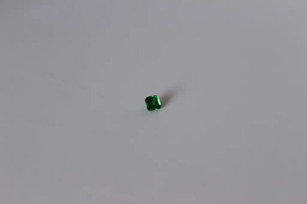 IMG_4034.webp