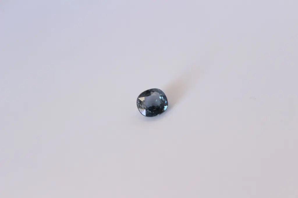IMG_4124.webp