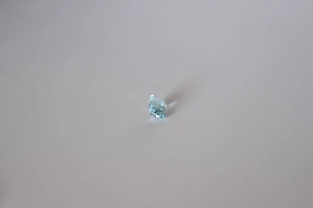 IMG_3927.webp