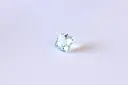 IMG_3808.webp