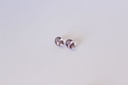 Spinelle Rose lavande 1.12cts ( Paire )